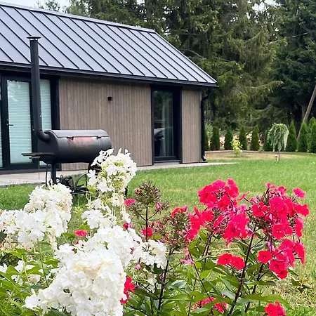 Paerli Puhkemaja / Pearl Riverside House * Pudisoo