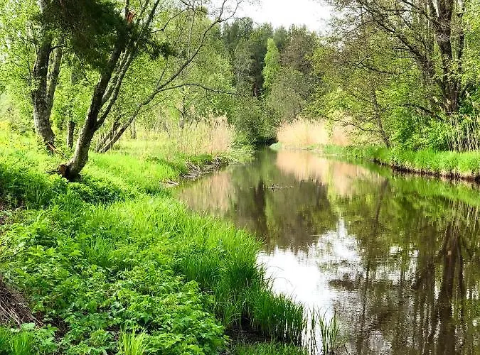 Paerli Puhkemaja / Pearl Riverside House